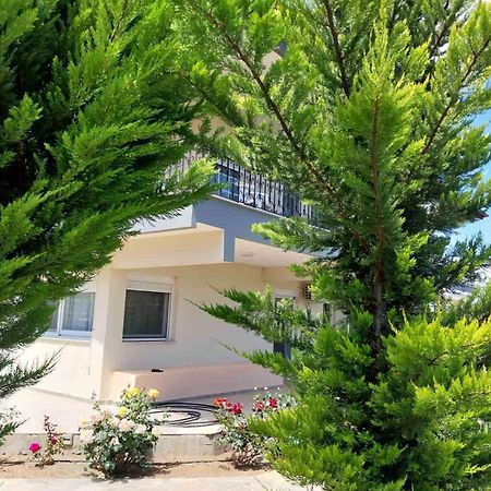 Erofilio Διαμέρισμα Κεραμωτή Εξωτερικό φωτογραφία