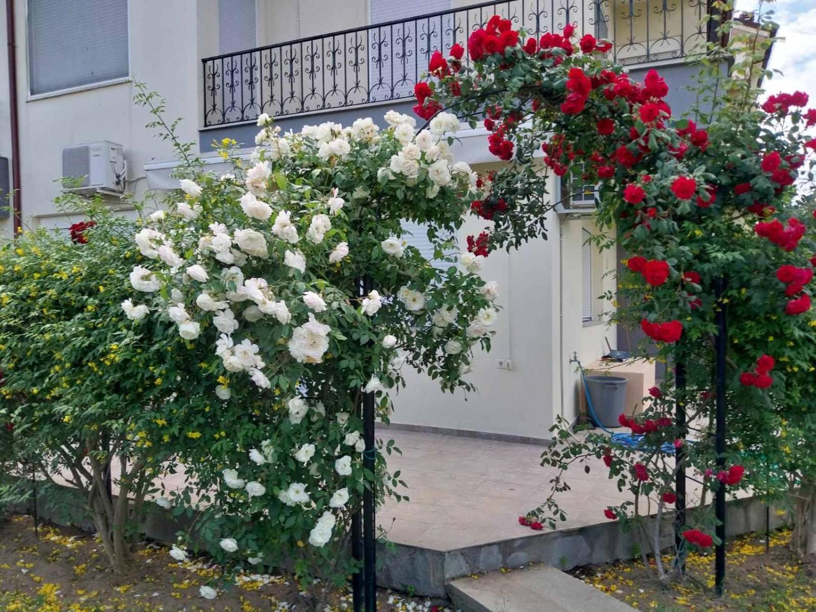 Erofilio Διαμέρισμα Κεραμωτή Εξωτερικό φωτογραφία