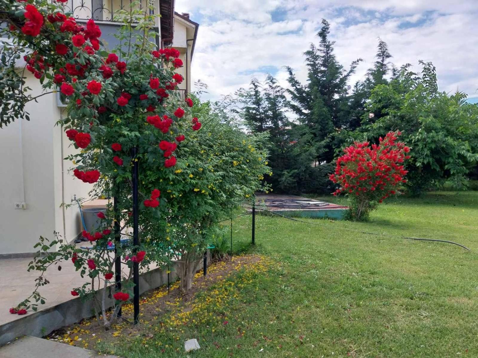 Erofilio Διαμέρισμα Κεραμωτή Εξωτερικό φωτογραφία