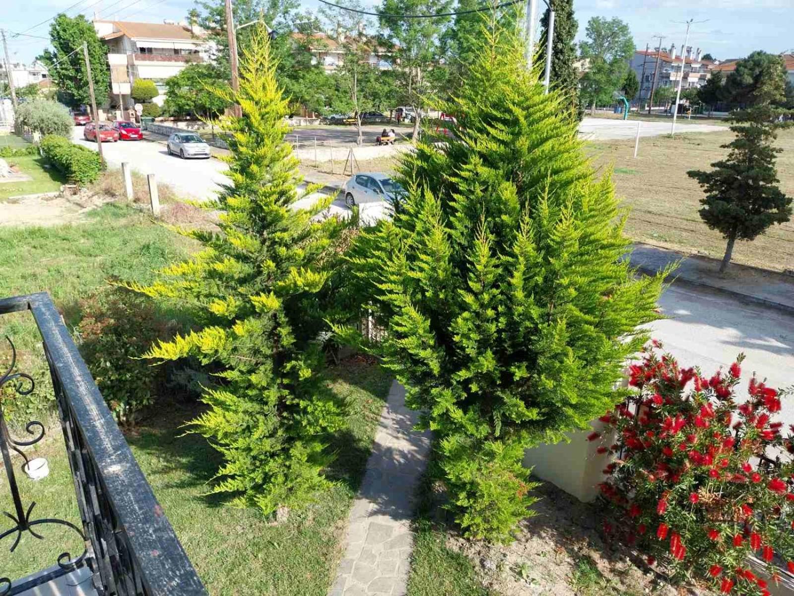 Erofilio Διαμέρισμα Κεραμωτή Εξωτερικό φωτογραφία