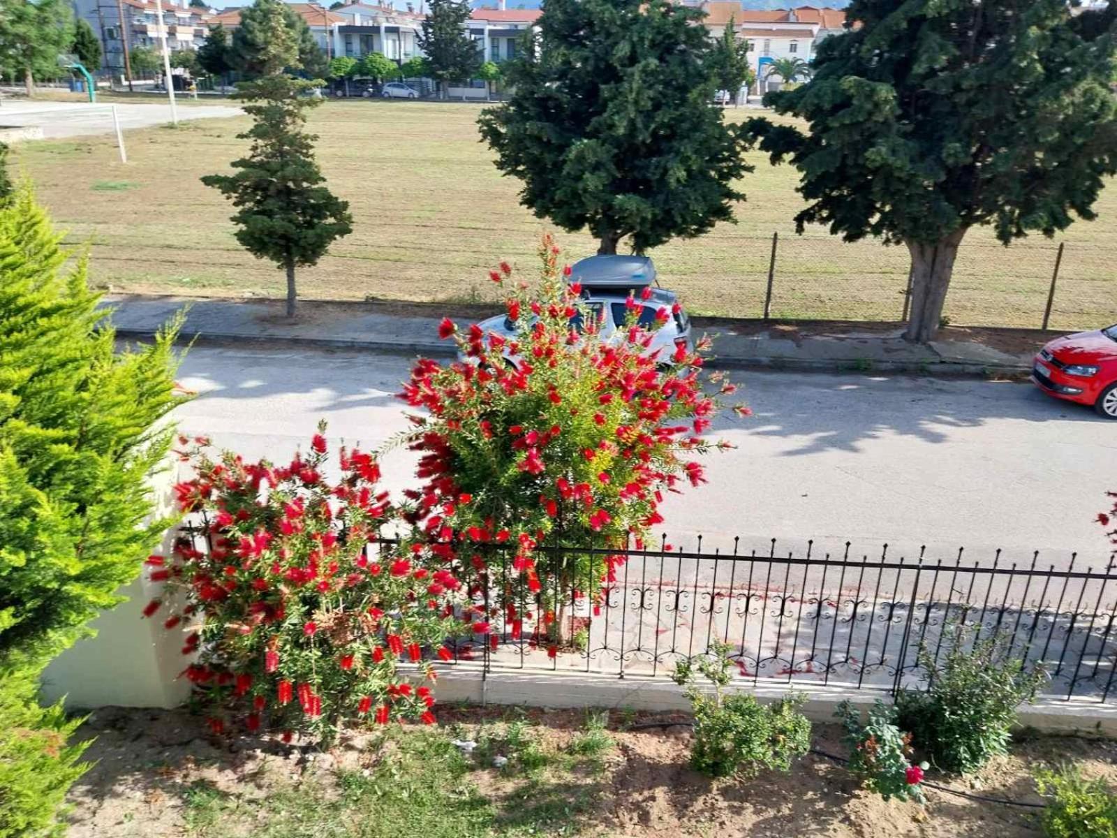 Erofilio Διαμέρισμα Κεραμωτή Εξωτερικό φωτογραφία